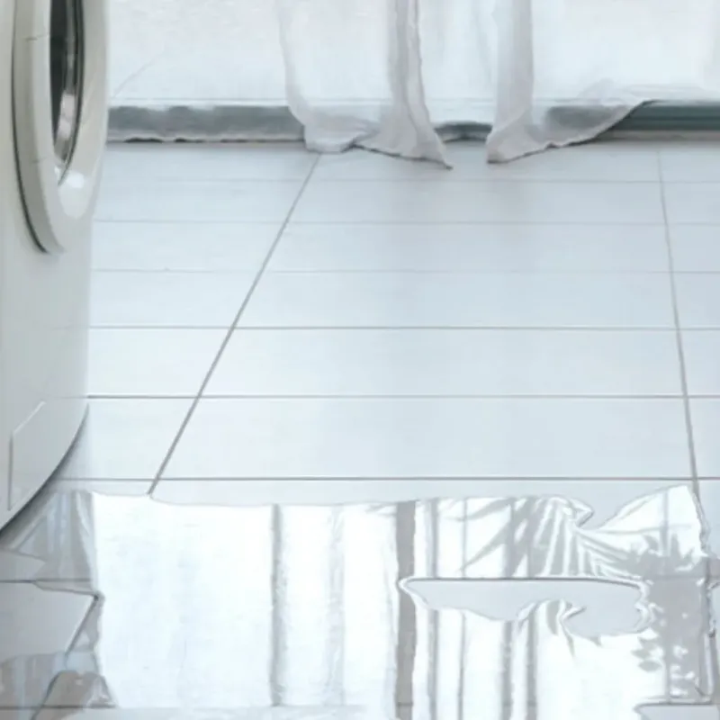 Appliance Leak Cleanup in Lancaster, TX