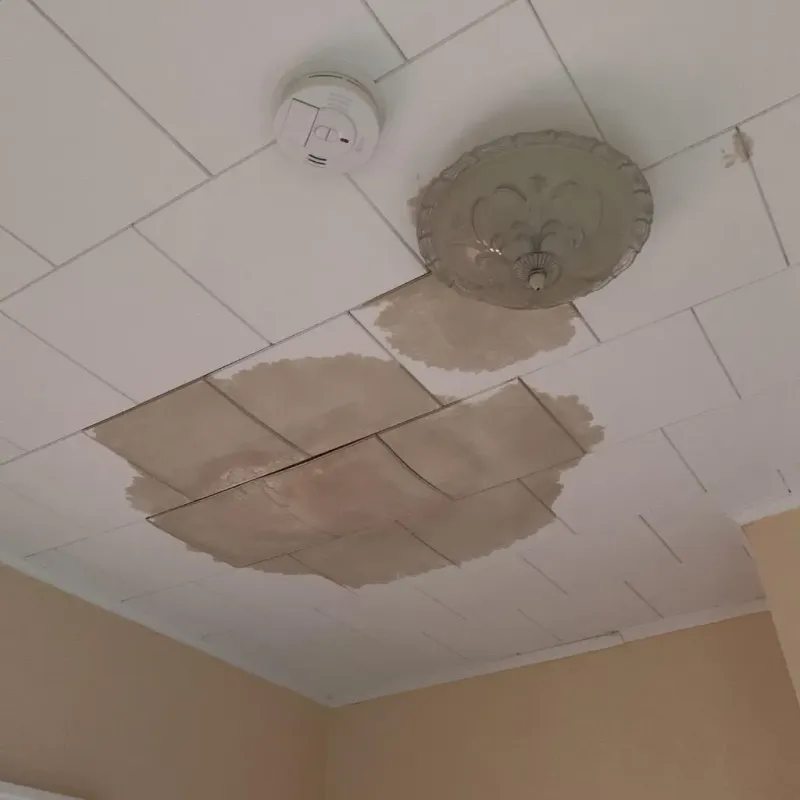 Ceiling Water Damage Repair in Lancaster, TX