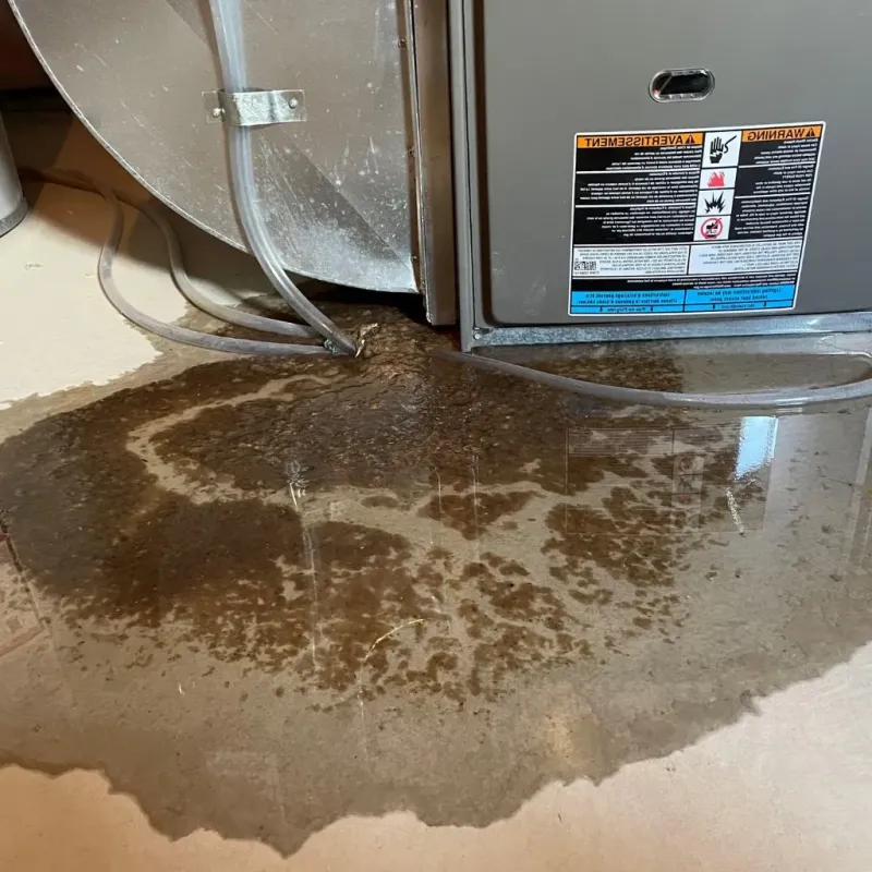 Pipe Burst and Leak Restoration in Lancaster, TX