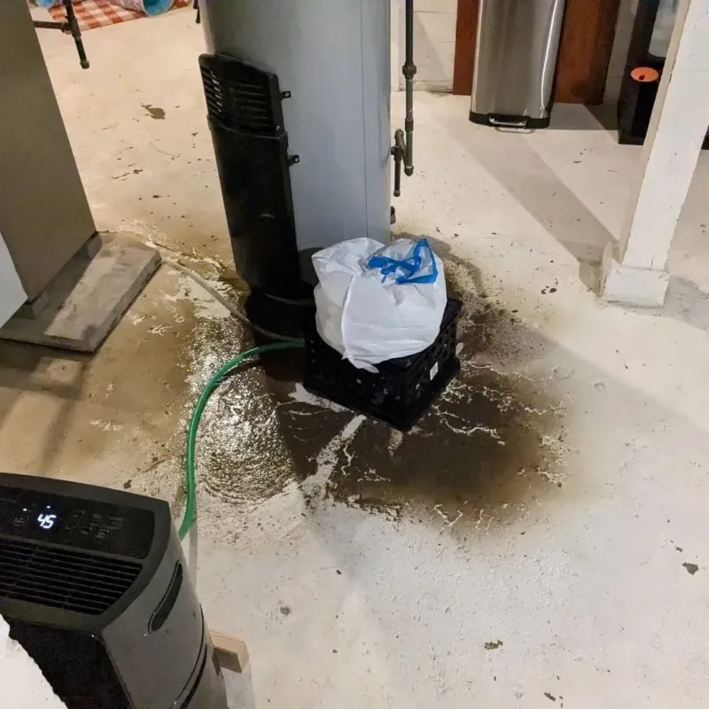 Sewage Backup Cleanup Service in Lancaster, TX